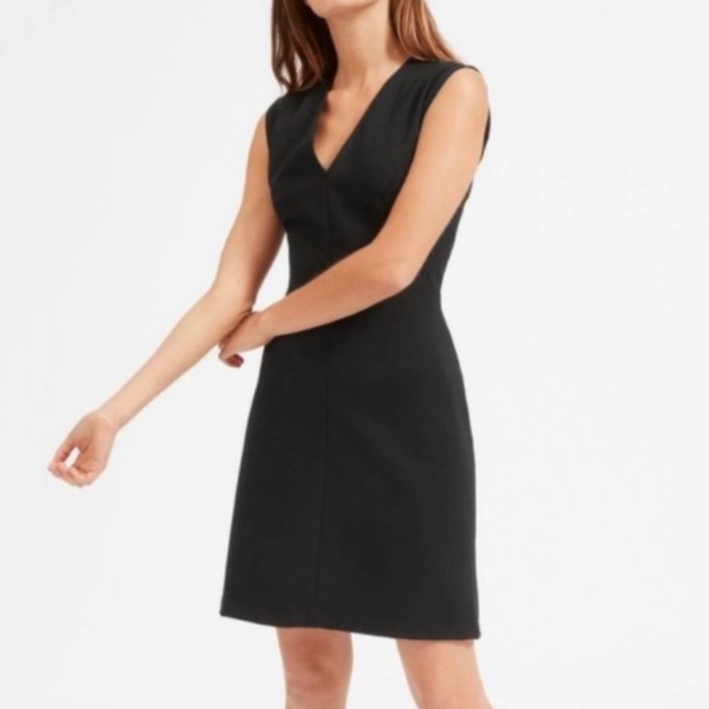 Everlane Black Ponte Dress